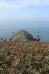 2023_09_06 D'Auderville à Biville, IMG_5236_Le nez de Jobourg