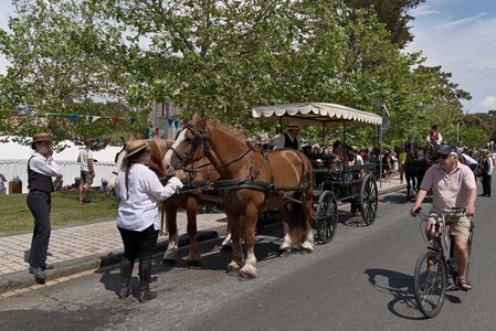 @fmbdx@piaille.fr 2023, Soulac 1900