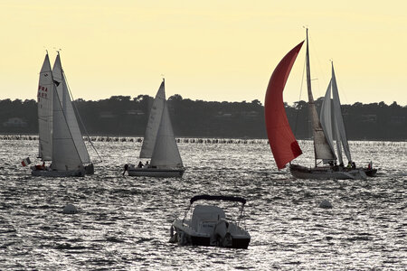 @fmbdx@piaille.fr 2023, 18 heures d'Arcachon