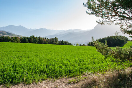 Promenade Chanteloube, boucle de Pralong 10102023, DSC_0199