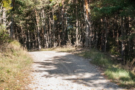 Promenade Chanteloube, boucle de Pralong 10102023, DSC_0203