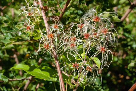 Promenade Chanteloube, boucle de Pralong 10102023, DSC_0217