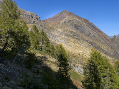 10-10-23_malcros, P1093267