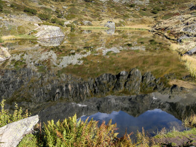 12-10-23_Valgo, P1093278
