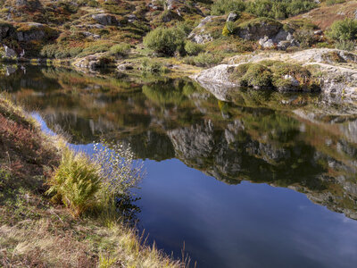 12-10-23_Valgo, P1093285
