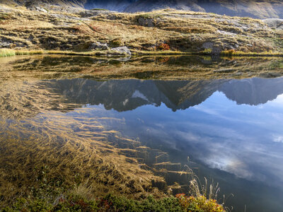 12-10-23_Valgo, P1093296
