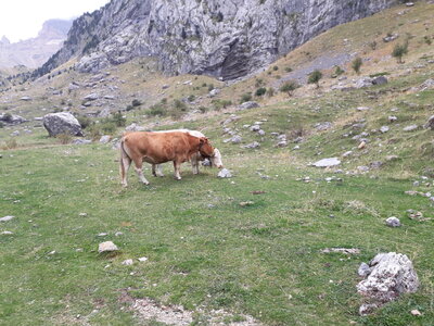 ValléAspe_14-15novembre2023, 20231014_134014