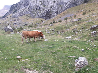 ValléAspe_14-15novembre2023, 20231014_134012