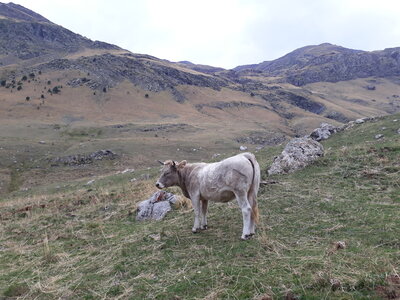 ValléAspe_14-15novembre2023, 20231014_125815