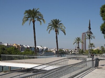 SEVILLE AVEC OLIVIER ET AFEAL DU 10/10 AU 15/10/2023, 0051