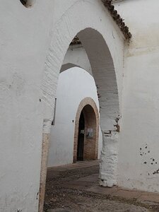 SEVILLE AVEC OLIVIER ET AFEAL DU 10/10 AU 15/10/2023, 0269