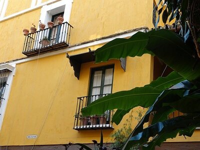 SEVILLE AVEC OLIVIER ET AFEAL DU 10/10 AU 15/10/2023 NUM 2, 0329