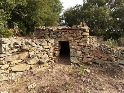 Les Orris de Campoussy, 31.Orri_Ca_31