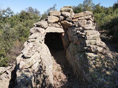 Les Orris de Campoussy, 41.Orri_Ca_41