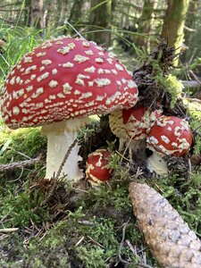 Automne 2023, IMG_3011