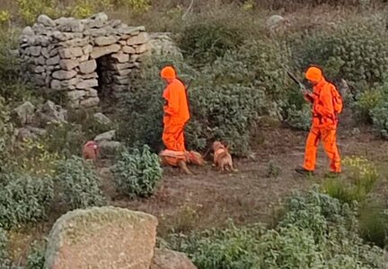 Chasse,   08 haut devese 22 oct 2023