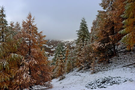 Le Grand Morgon par les Traverses, Le Grand Morgon par les Traverses 068