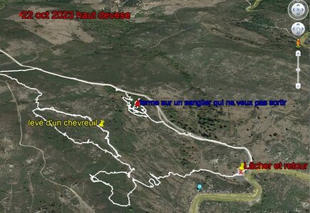 TRACES DES CHIENS CHASSE,  09 haut devse 22 oct 2023