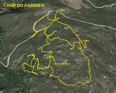 TRACES DES CHIENS CHASSE,  05 CAMP DU PARISIEN 24 SEPT 2023