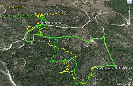 TRACES DES CHIENS CHASSE,  07 GARENNE 07 OCT 2023