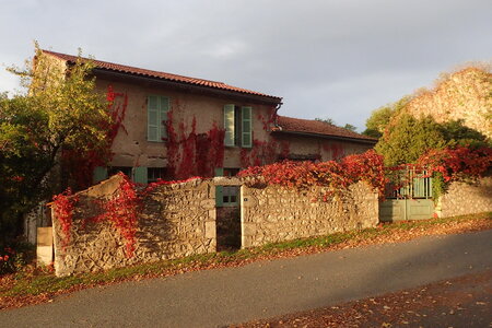 Charroux 2023, 2023-10-28_0013