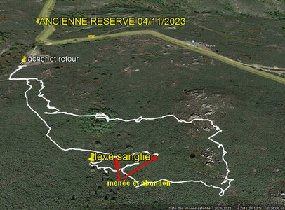 TRACES DES CHIENS CHASSE,  11  ANCIENNE RESERVE 04 11 2023