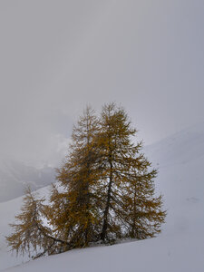 07-11-23_lac Jujal, P1093394