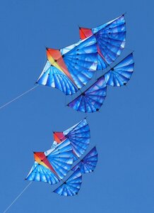 Elément AIR, Cerf volant Michel Gressier 2