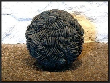 Elément TERRE, Terre - Pascale Beauchamps 3