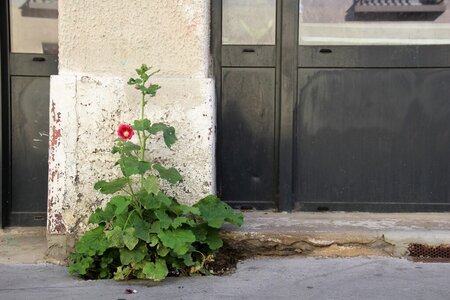 Questionnaire frama, rueMontesquieu