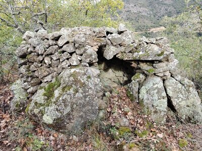 Les Orris de Campoussy, 43.Orri_Ca_43