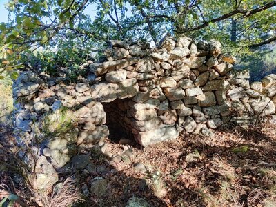 Les Orris de Campoussy, 42.Orri_Ca_42