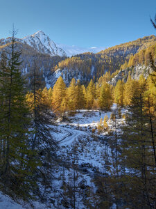 08-11-23_lac st marguerite, P1093398