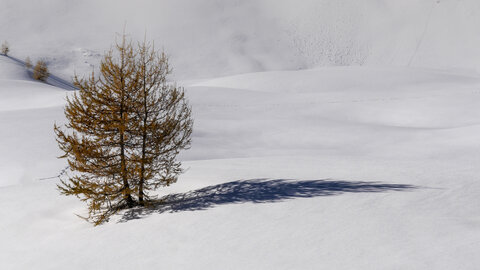 08-11-23_lac st marguerite, P1093408-Modifier