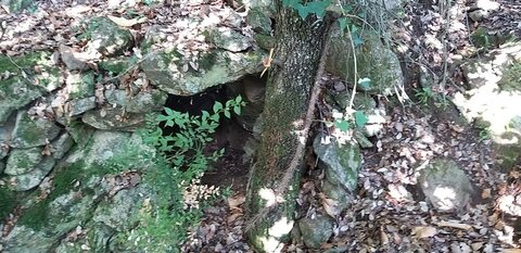 Les Orris de Campoussy, 46.Orri_Ca_46