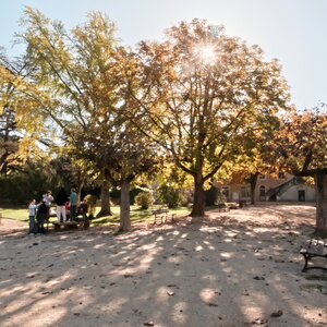 Club Photo Lagnes : défi novembre 2023 : contre-jour et lumière d'automne, automne02 - jj