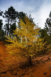 Club Photo Lagnes : défi novembre 2023 : contre-jour et lumière d'automne, automne07 - jean