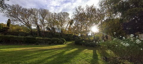 Club Photo Lagnes : défi novembre 2023 : contre-jour et lumière d'automne, automne17 - jef