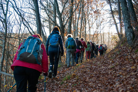 Circuit du bois des Bridons le 21 novembre 2023, DSC_0234