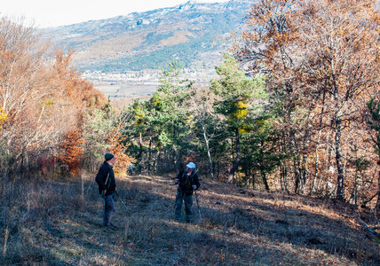 Circuit du bois des Bridons le 21 novembre 2023, DSC_0237