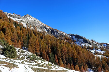 Le Palastre, Le Palastre 005