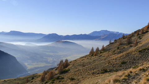 23-11-23_rouanne_combeau, P1093657
