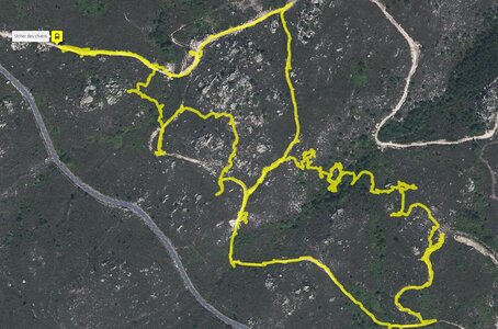 TRACES DES CHIENS CHASSE, 17 peyre drete26 nov 2023