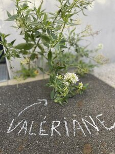 Cartographie, IMG_8537