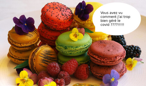 Humour, macarons_covid
