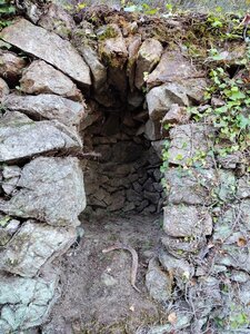 Les Orris de Campoussy, 50.Orri_Ca_50