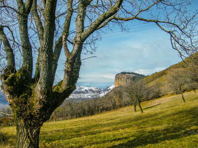 Autour du Faudon le 12 Décembre 2023, DSCF9198