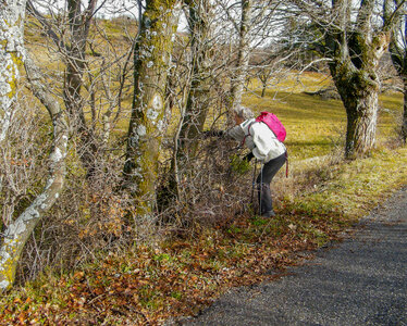Autour du Faudon le 12 Décembre 2023, DSCF9200