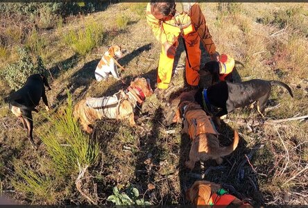 Chasse, 14 l’Anglais 16 dec 2023