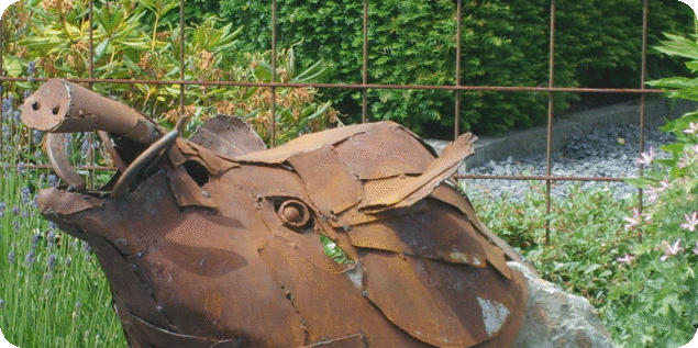 sanglier